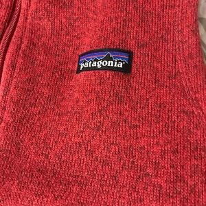 Patagonia vest